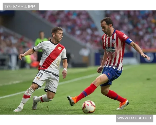 西甲有哪些俱乐部参加比赛?